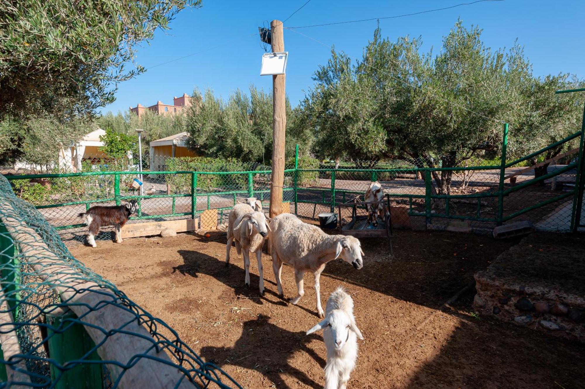 Ferme Sidi Safou & Spa Marakéš Exteriér fotografie
