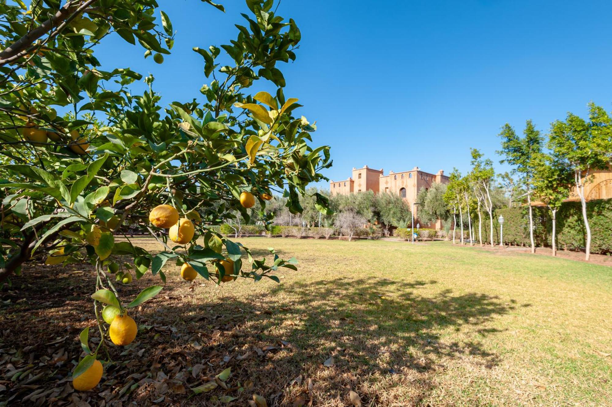 Ferme Sidi Safou & Spa Marakéš Exteriér fotografie